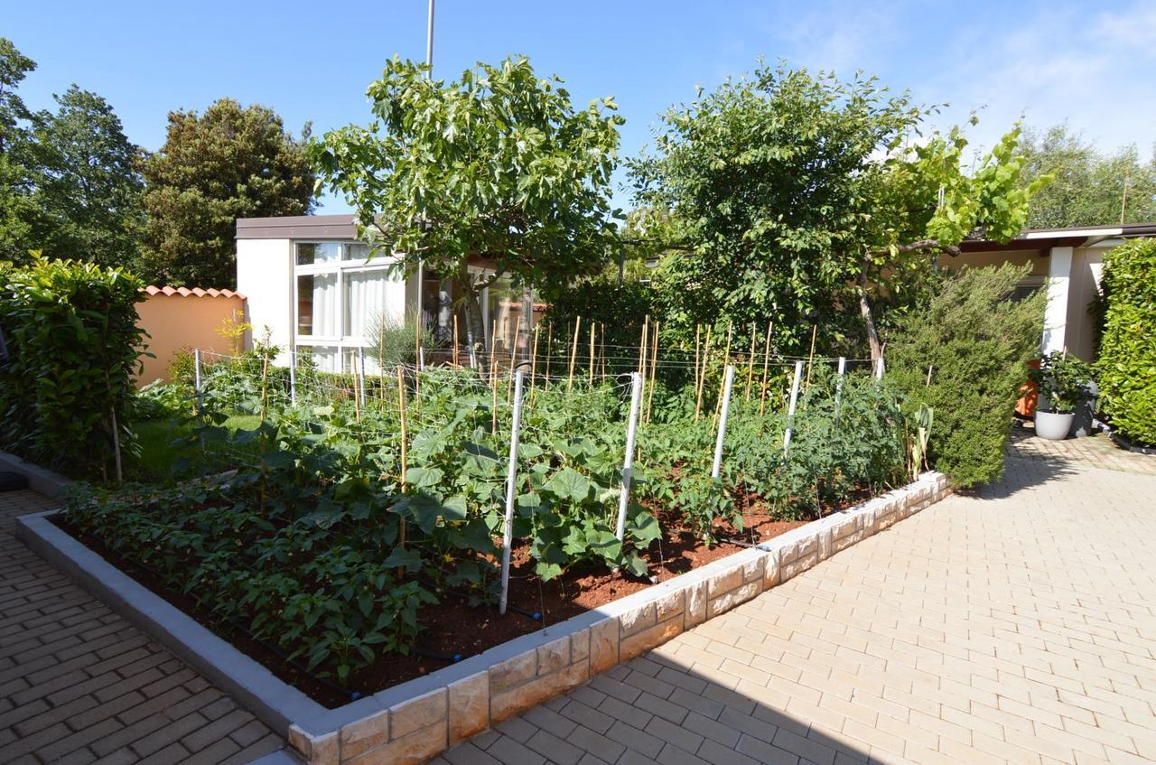 Apartmani Dekovic Materada Poreč Exterior foto